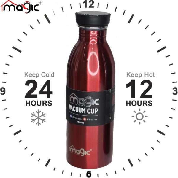 FB-500 Ml Double Wall Water Bottle