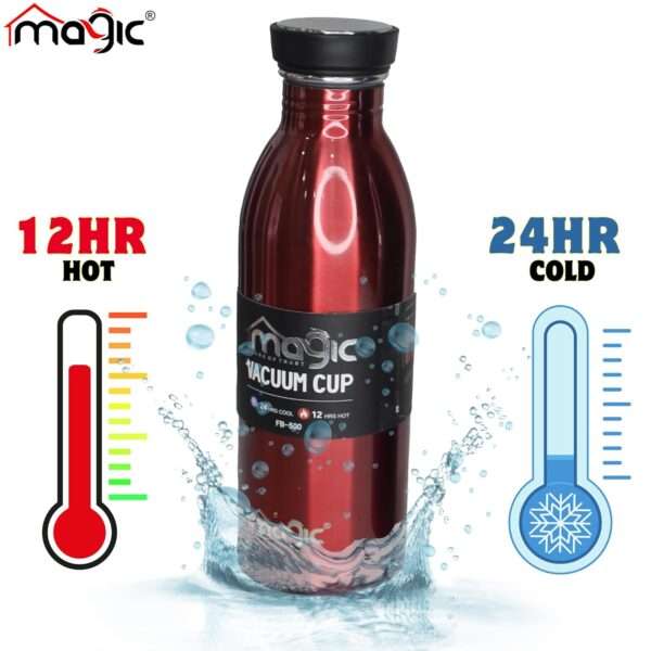 FB-500 Ml Double Wall Water Bottle - Image 5